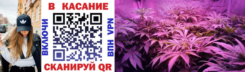 Купить закладку Конопля  Кокаин  АМФ  СК  МЕФ  ГАШ  Черняховск