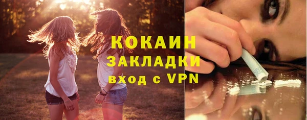 бошки Белокуриха