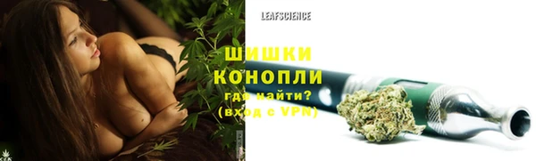 бошки Белокуриха