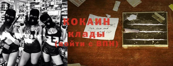 бошки Белокуриха