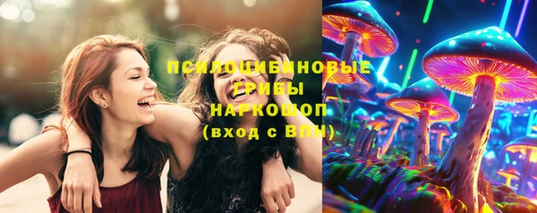 бошки Белокуриха