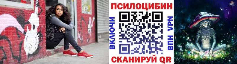 Купить  Черняховск  Псилоцибиновые грибы мухоморы 
